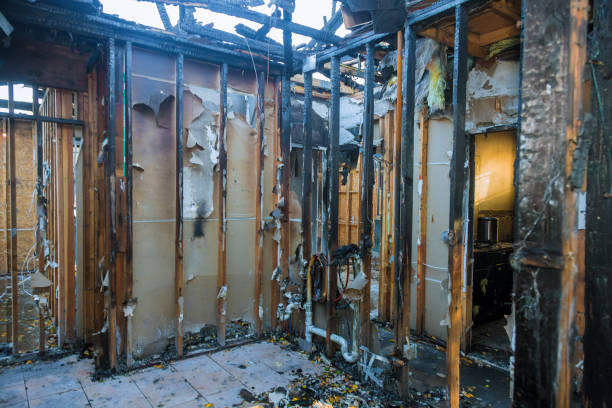 Professional Fire Damage Removal technician working in Timberline-Fernwood, AZ